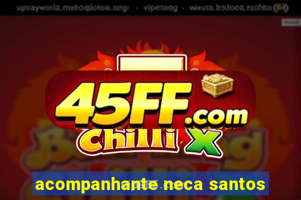acompanhante neca santos